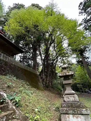 大宮諏訪神社(長野県)