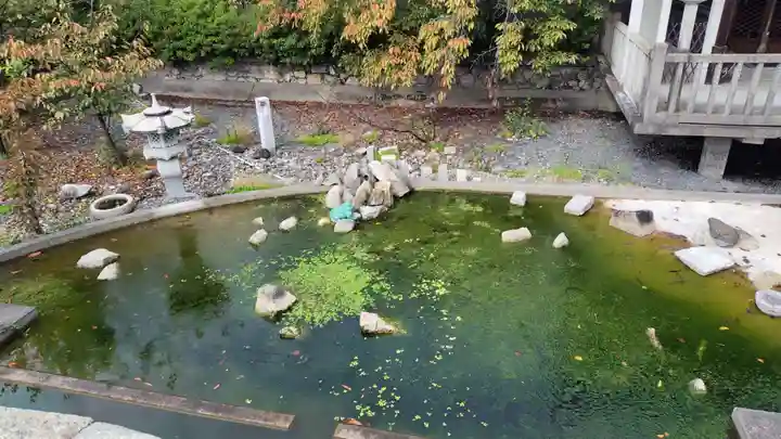 六孫王神社(京都府)