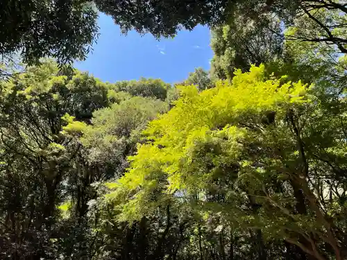 明治神宮(東京都)