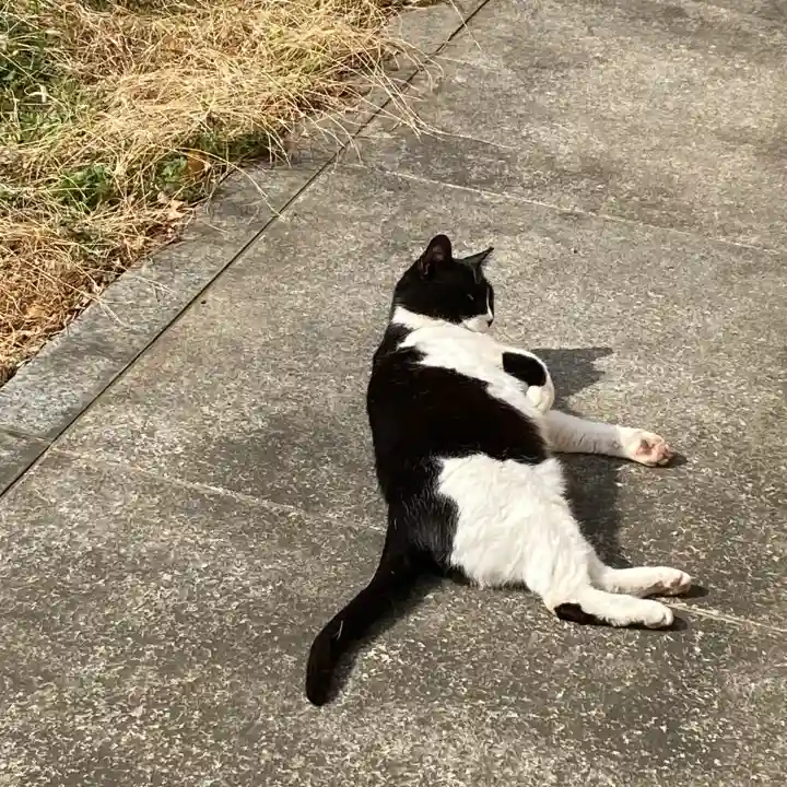 白金氷川神社(東京都)