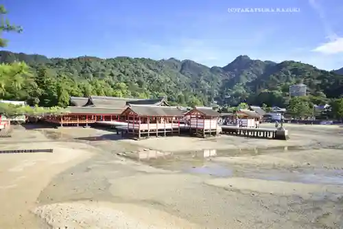 厳島神社(広島県)