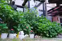 十日恵比須神社(福岡県)