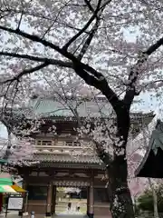 東勝寺宗吾霊堂の山門