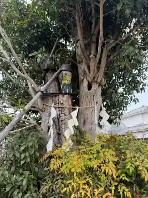 拝島神明神社の{uncategorized: "未分類", other: "その他", undefined: "問題あり", building: "その他建物", grave: "お墓", sacred_gate: "鳥居", guardian: "狛犬", statue: "像", buddha: "仏像", history: "歴史", nature: "自然", garden: "庭園", animal: "動物", pagoda: "塔", temizu: "手水舎", mountain_gate: "山門・神門", sanctuary: "本殿・本堂", subordinate: "末社・摂社", art: "芸術", scenery: "景色", jizo: "地蔵", ema: "絵馬", goshuin: "御朱印", omikuji: "おみくじ", items: "授与品その他", amulet: "お守り", goshuincho: "御朱印帳", eats: "食事", festival: "お祭り", votive_dance: "神楽", shichigosan: "七五三参", wedding: "結婚式", experience: "体験その他", initially: "初詣", around: "周辺", anti_infection: "感染症対策"}