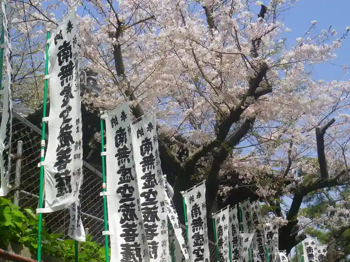 星井寺(虚空蔵堂)の自然