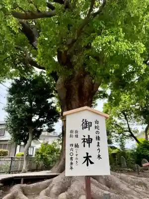 日々神社(神奈川県)