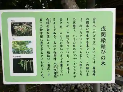 富士山東口本宮 冨士浅間神社(静岡県)
