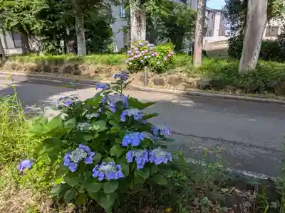 本土寺(千葉県)