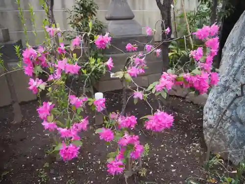 小野照崎神社の自然