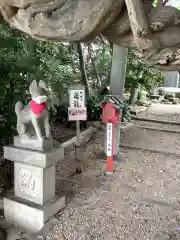 豊藤稲荷神社の狛犬