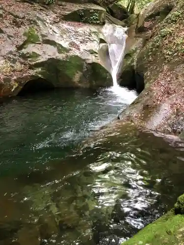 龍鎮神社の自然