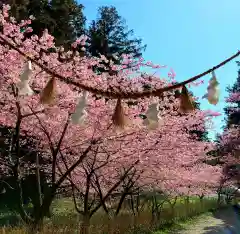 矢奈比賣神社（見付天神）の自然