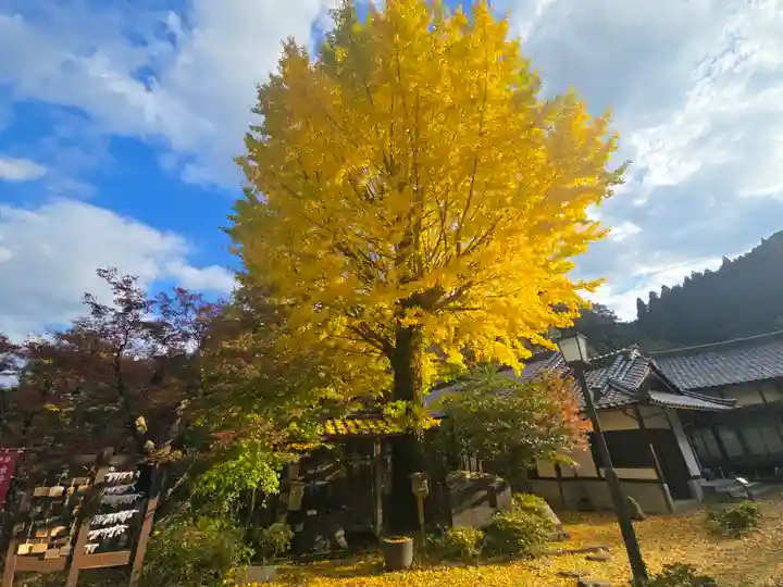温泉寺(兵庫県)