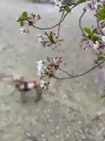 伊勢の国 四天王寺の自然