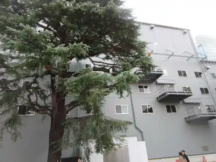 増上寺(東京都)