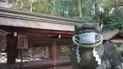 建部大社の狛犬