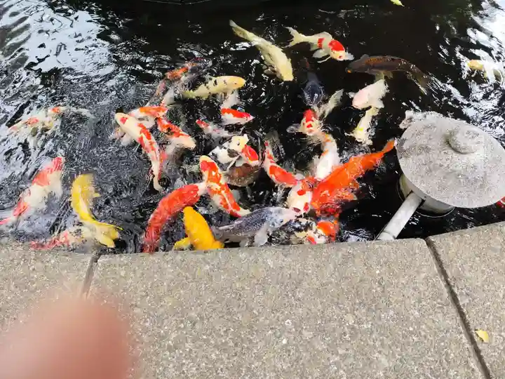 相模国総社六所神社(神奈川県)