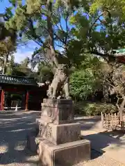 根津神社の狛犬