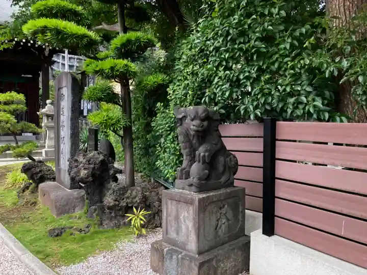 太田杉山神社・横濱水天宮の狛犬