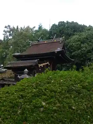 阿智神社の本殿・本堂