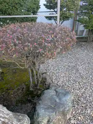 亀田龍神社の{uncategorized: "未分類", other: "その他", undefined: "問題あり", building: "その他建物", grave: "お墓", sacred_gate: "鳥居", guardian: "狛犬", statue: "像", buddha: "仏像", history: "歴史", nature: "自然", garden: "庭園", animal: "動物", pagoda: "塔", temizu: "手水舎", mountain_gate: "山門・神門", sanctuary: "本殿・本堂", subordinate: "末社・摂社", art: "芸術", scenery: "景色", jizo: "地蔵", ema: "絵馬", goshuin: "御朱印", omikuji: "おみくじ", items: "授与品その他", amulet: "お守り", goshuincho: "御朱印帳", eats: "食事", festival: "お祭り", votive_dance: "神楽", shichigosan: "七五三参", wedding: "結婚式", experience: "体験その他", initially: "初詣", around: "周辺", anti_infection: "感染症対策"}