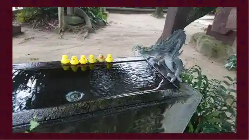 柏諏訪神社(千葉県)