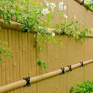 寿量山 速成寺の自然(2020年05月21日(木) 21時40分20秒投稿)