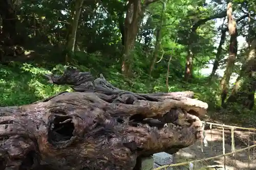 泉神社(茨城県)