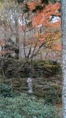 三千院門跡(京都府)