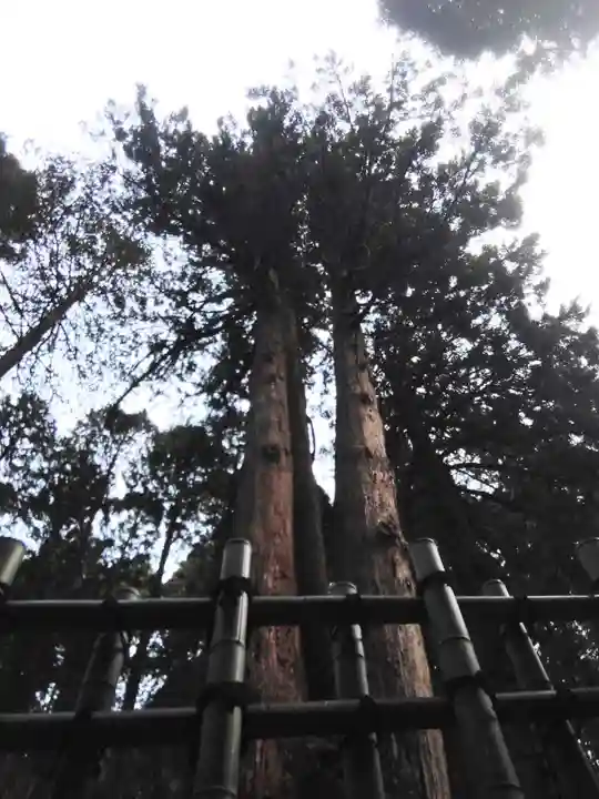 御岩神社(茨城県)