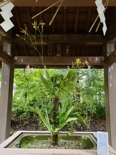 赤坂氷川神社(東京都)