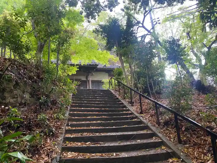 東光寺の{uncategorized: "未分類", other: "その他", undefined: "問題あり", building: "その他建物", grave: "お墓", sacred_gate: "鳥居", guardian: "狛犬", statue: "像", buddha: "仏像", history: "歴史", nature: "自然", garden: "庭園", animal: "動物", pagoda: "塔", temizu: "手水舎", mountain_gate: "山門・神門", sanctuary: "本殿・本堂", subordinate: "末社・摂社", art: "芸術", scenery: "景色", jizo: "地蔵", ema: "絵馬", goshuin: "御朱印", omikuji: "おみくじ", items: "授与品その他", amulet: "お守り", goshuincho: "御朱印帳", eats: "食事", festival: "お祭り", votive_dance: "神楽", shichigosan: "七五三参", wedding: "結婚式", experience: "体験その他", initially: "初詣", around: "周辺", anti_infection: "感染症対策"}