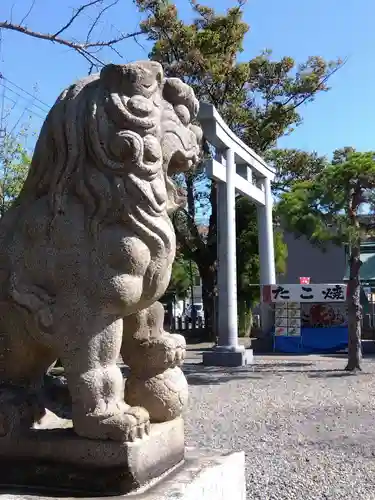 杉杜白髭神社の狛犬