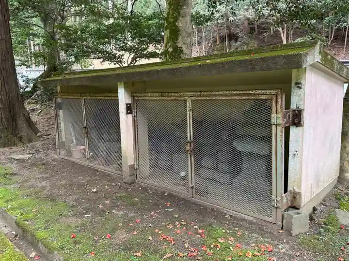常神社(福井県)