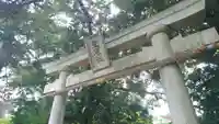 愛鷹神社(大野新田)の鳥居