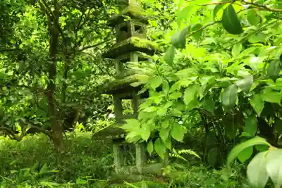 杉本寺(神奈川県)