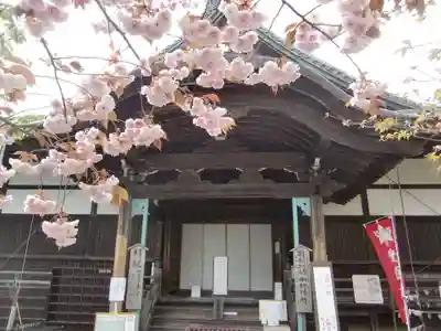 村雲御所瑞龍寺門跡の本殿・本堂