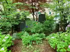 諏訪神社(山形県)