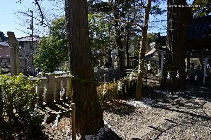 玉前神社(千葉県)