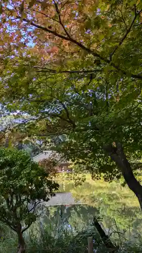 浄瑠璃寺(京都府)