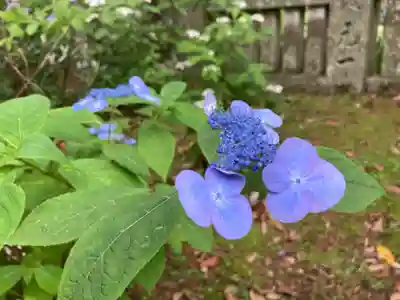 惣河内神社の自然