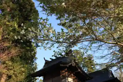 諏訪神社の本殿・本堂