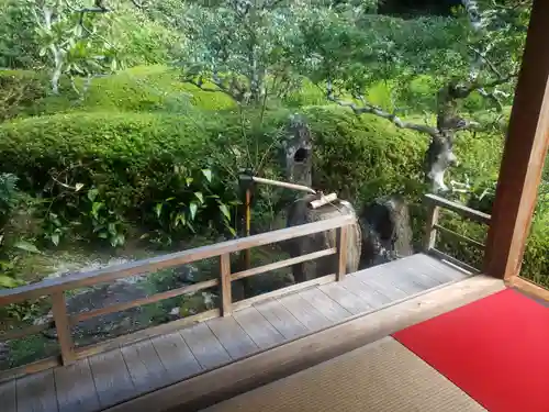 大池寺の建物その他