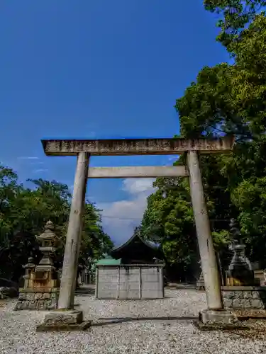 神明社（茶屋神明社）の鳥居