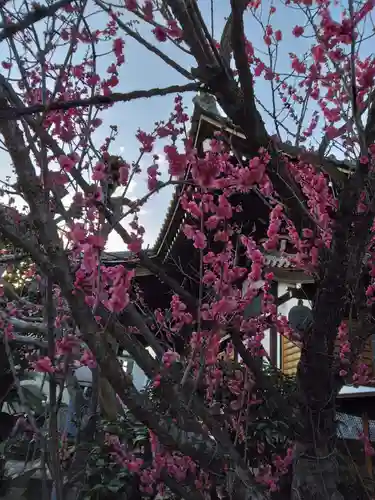 成就院(神奈川県)