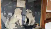 児守神社の狛犬