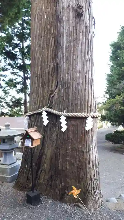 高司神社〜むすびの神の鎮まる社〜(福島県)