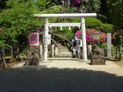 千駄ヶ谷冨士浅間神社の鳥居