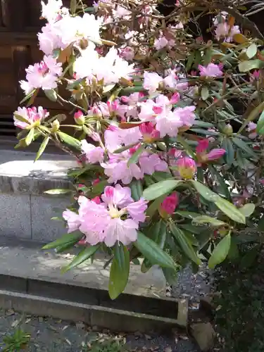 千栗八幡宮の自然