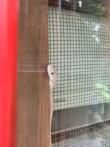 赤水蛇石神社(熊本県)